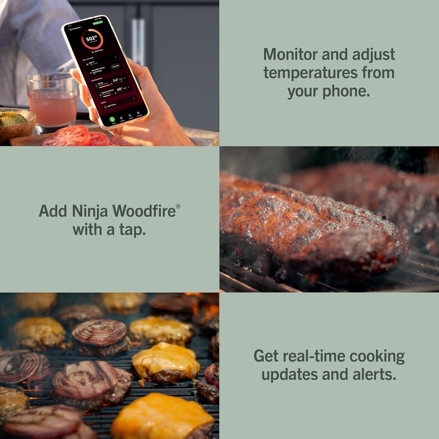 image:imageNinja FlexFlame Grill amp Smoker Electric amp Propane 5in1 SteelPG301 Ninja FlexFlame is a 5in1 grill smoker amp griddle with precise 200600F control fitting 3 chickens or 4 rib racksBlackGold