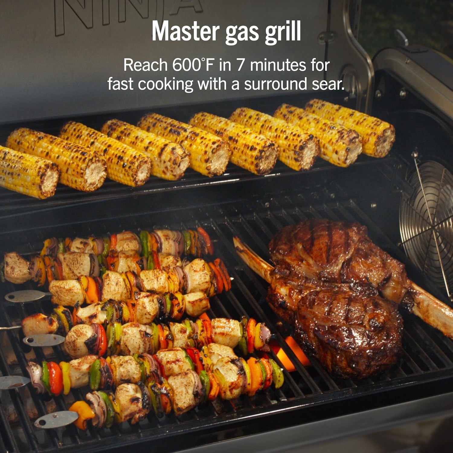 image:imageNinja FlexFlame Grill amp Smoker Electric amp Propane 5in1 SteelPG301 Ninja FlexFlame is a 5in1 grill smoker amp griddle with precise 200600F control fitting 3 chickens or 4 rib racksBlackGold
