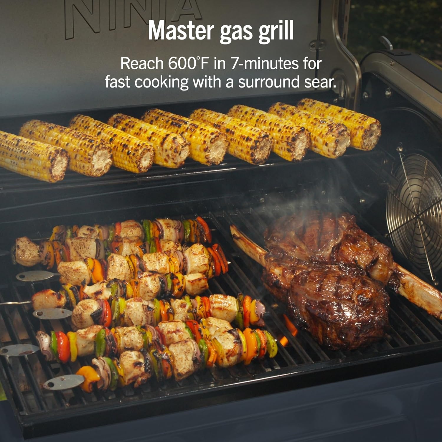 image:imageNinja FlexFlame Grill amp Smoker Electric amp Propane 5in1 SteelPG301 Ninja FlexFlame is a 5in1 grill smoker amp griddle with precise 200600F control fitting 3 chickens or 4 rib racksBlue