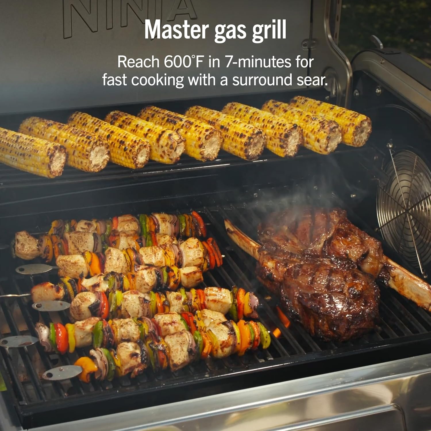image:imageNinja FlexFlame Grill amp Smoker Electric amp Propane 5in1 SteelPG301 Ninja FlexFlame is a 5in1 grill smoker amp griddle with precise 200600F control fitting 3 chickens or 4 rib racksStainless Steel
