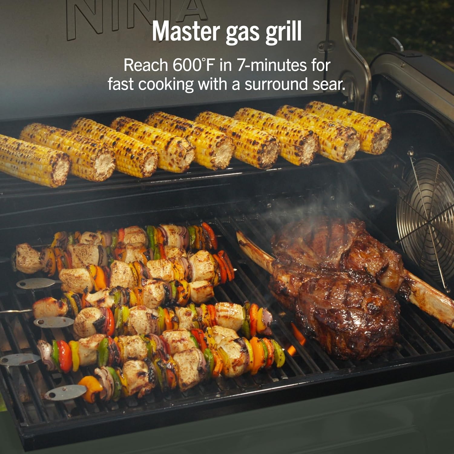 image:imageNinja FlexFlame Grill amp Smoker Electric amp Propane 5in1 SteelPG301 Ninja FlexFlame is a 5in1 grill smoker amp griddle with precise 200600F control fitting 3 chickens or 4 rib racksGreen