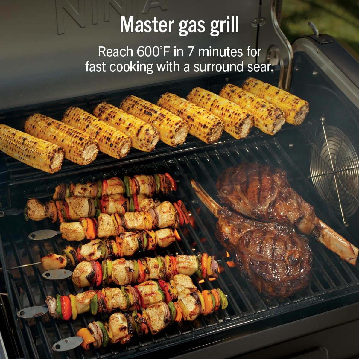 image:imageNinja FlexFlame Grill amp Smoker Electric amp Propane 5in1 SteelPG301 Ninja FlexFlame is a 5in1 grill smoker amp griddle with precise 200600F control fitting 3 chickens or 4 rib racksBlack
