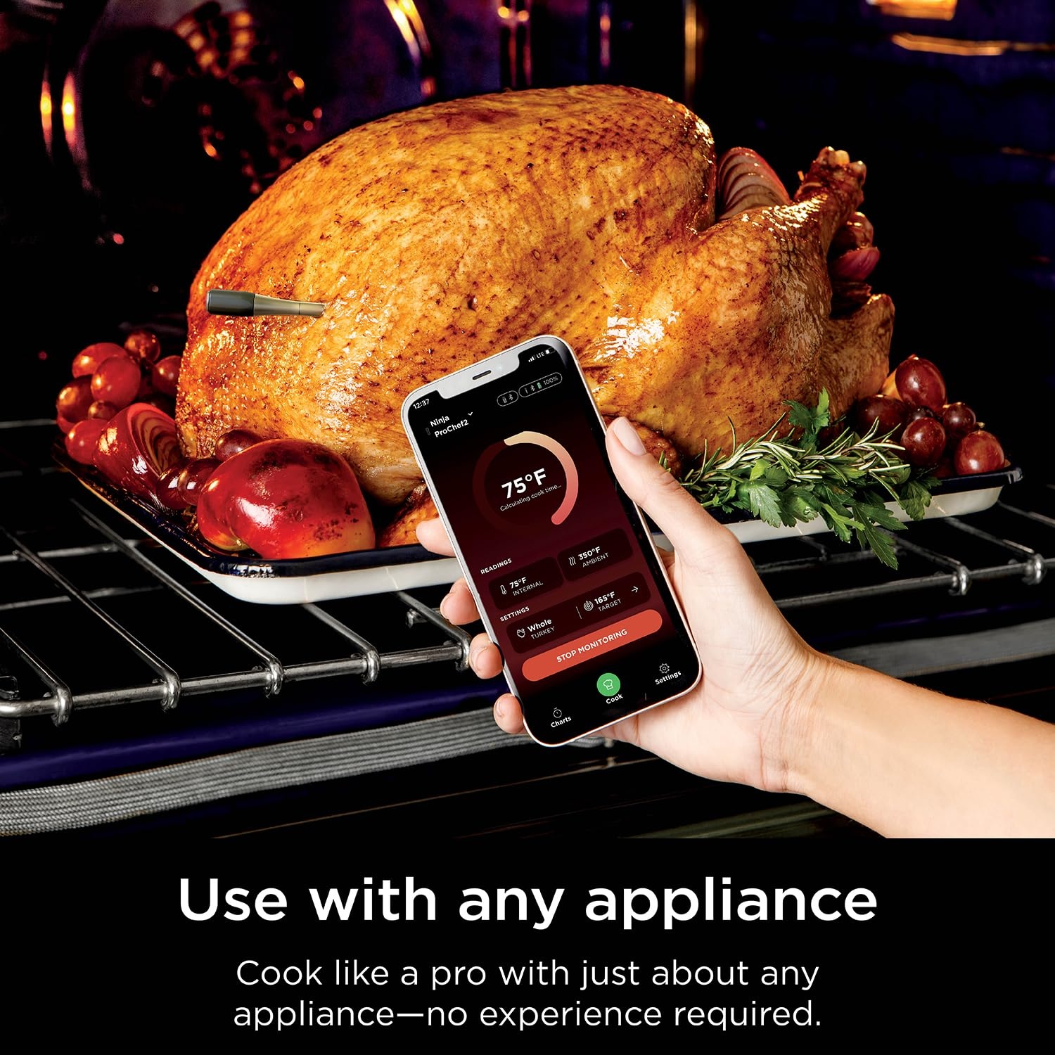 image:imageNinja ProChef Wireless Thermometer WP100ME Ninja ProChef Wireless Thermometer withstands 700F and pairs with the ProConnect App for guided noguesswork cooking