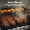 Ninja FlexFlame Grill & Smoker, Electric & Propane, 5-in-1, Steel,PG301 | Ninja FlexFlame is a 5-in-1 grill, smoker & griddle with precise 200-600°F control, fitting 3 chickens or 4 rib racks(Stainless Steel)