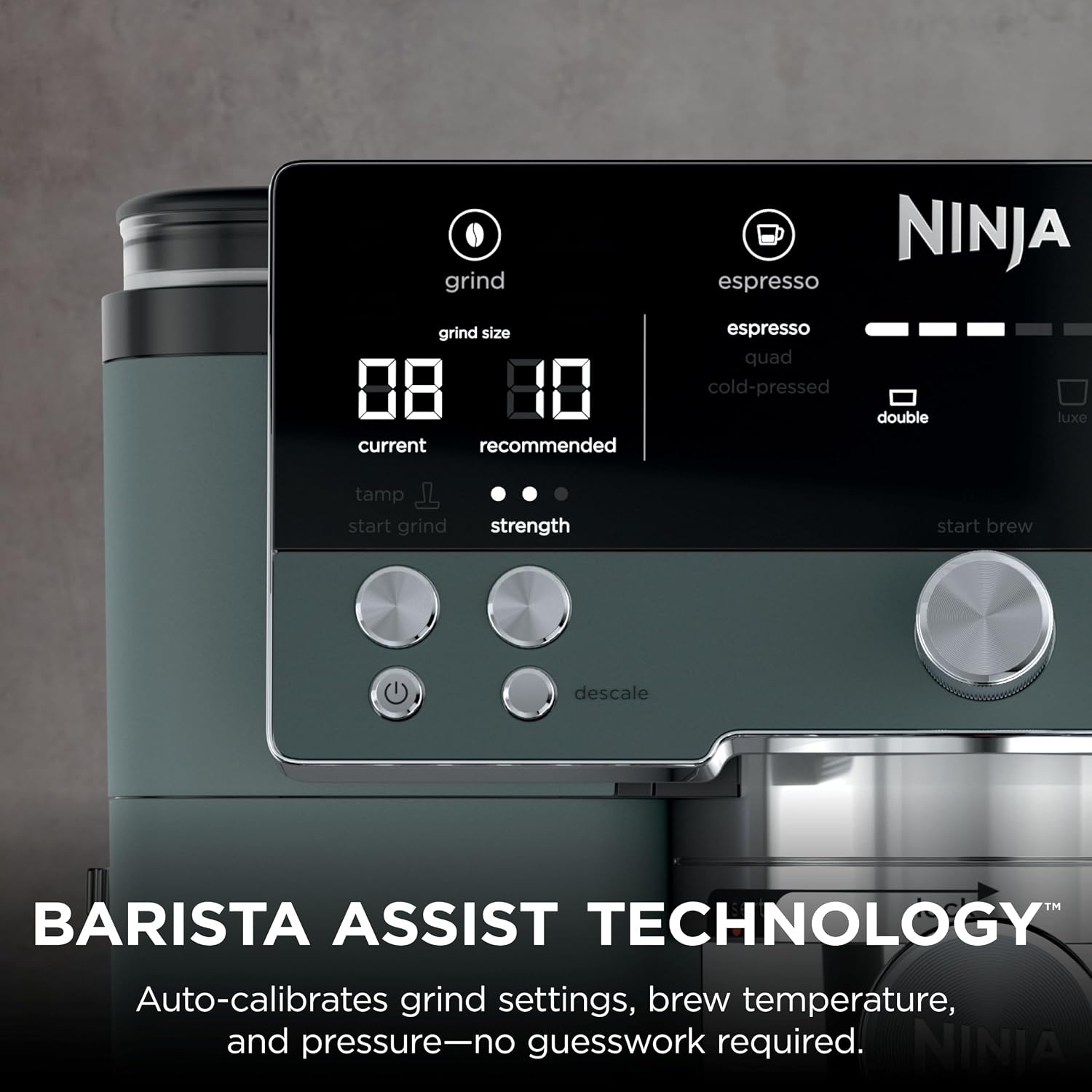 image:imageNinja Luxe Caf Premier Espresso amp Rapid Cold Brew Gunmetal ES601GM Drip Coffee Builtin Coffee Grinder HandsFree Milk Frother Assisted Tamper for Cappuccinos amp LattesGreen