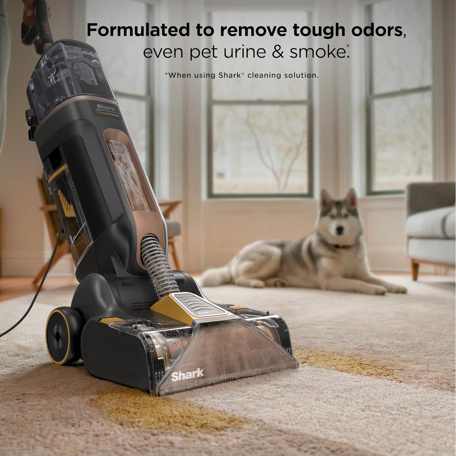 image:imageShark CarpetForce Lightweight Upright Carpet amp Area Rug Cleaner EX501BRN For Carpets amp Area Rugs Lightweight Two Modes DirtDisrupt Brushroll Deep Clean Ultra Dirt amp Odor RemoverCarpetForce HairPro