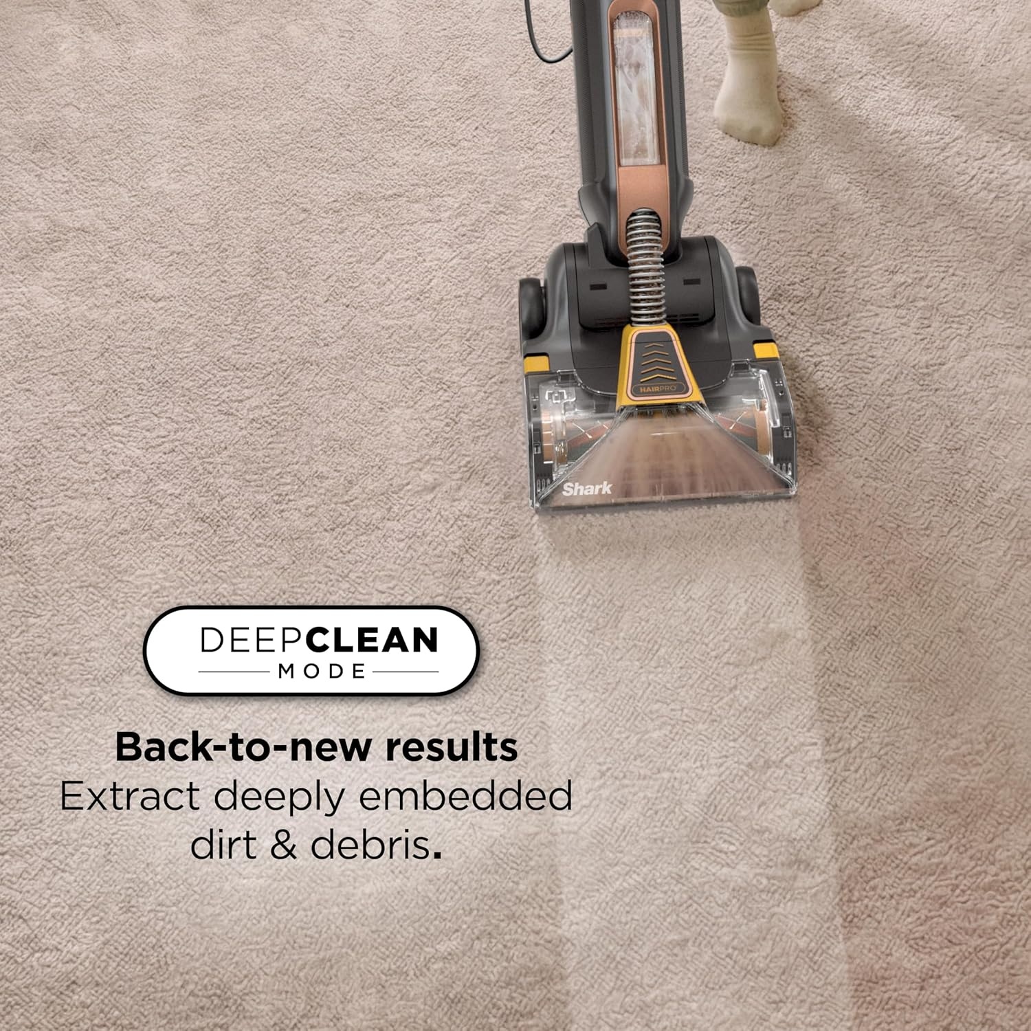 image:imageShark CarpetForce Lightweight Upright Carpet amp Area Rug Cleaner EX501BRN For Carpets amp Area Rugs Lightweight Two Modes DirtDisrupt Brushroll Deep Clean Ultra Dirt amp Odor RemoverCarpetForce HairPro