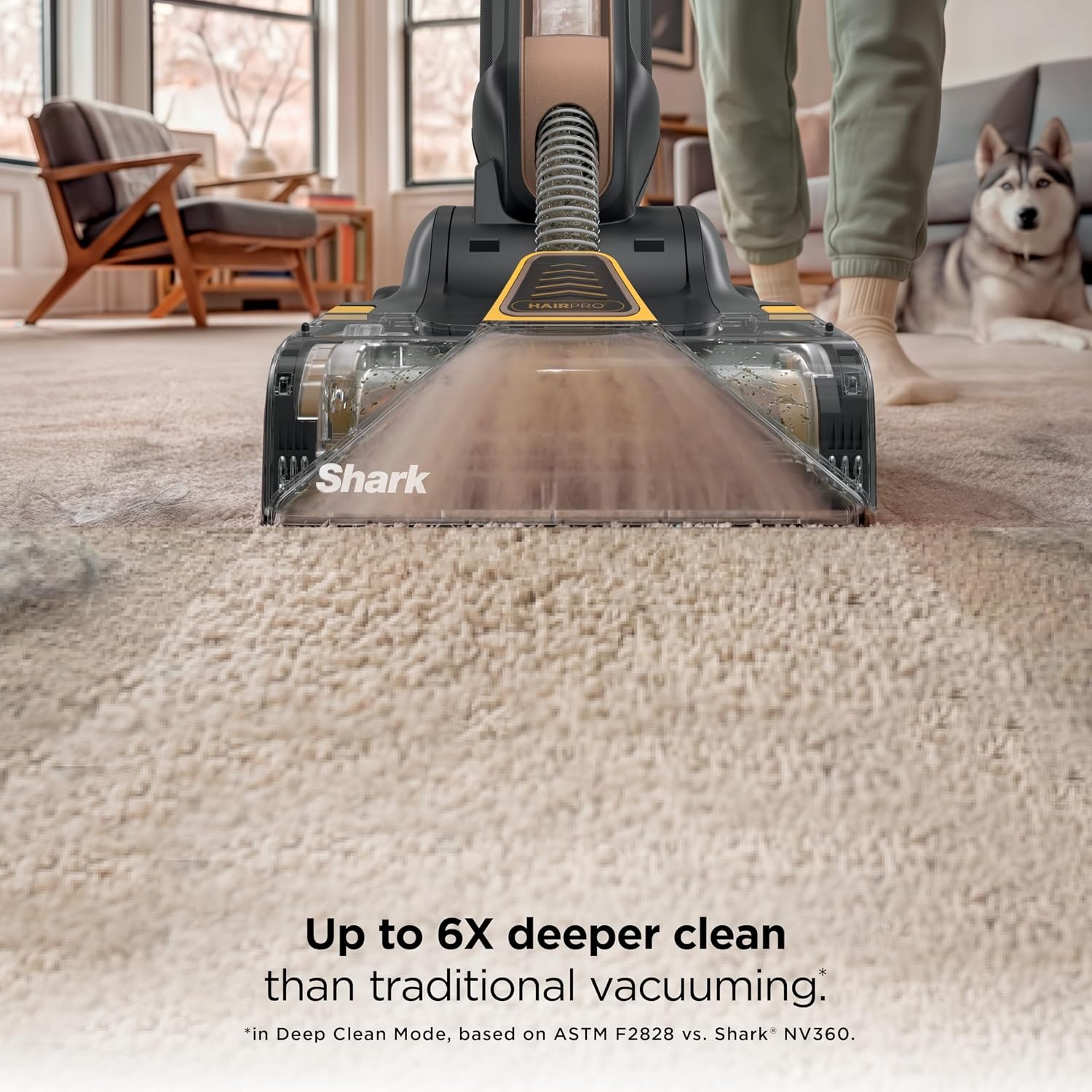 image:imageShark CarpetForce Lightweight Upright Carpet amp Area Rug Cleaner EX501BRN For Carpets amp Area Rugs Lightweight Two Modes DirtDisrupt Brushroll Deep Clean Ultra Dirt amp Odor RemoverCarpetForce HairPro