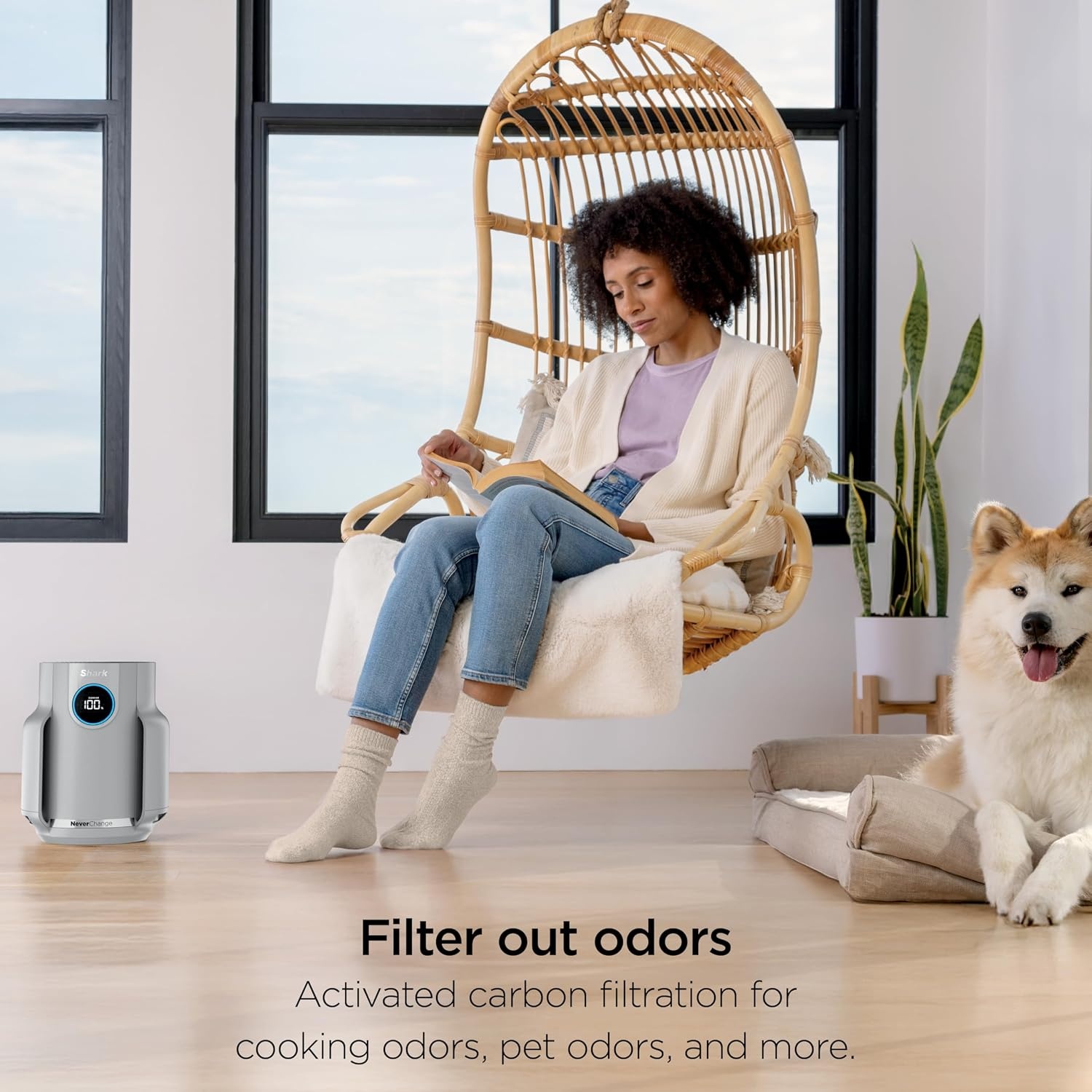 image:imageShark NeverChange Compact Pro Air Purifier HP071BRN Winter Fog For Bedroom Nursery Home Office Dorm HEPAExceeding Filter Captures Pollutants Pet Dander Dust Odor Smoke and MoreWinter Fog 250 sq ft