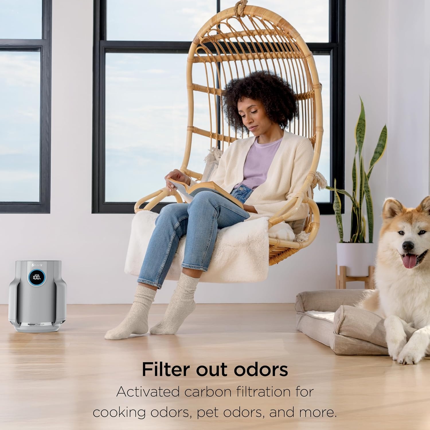 image:imageShark NeverChange Compact Pro Air Purifier HP071BRN Winter Fog For Bedroom Nursery Home Office Dorm HEPAExceeding Filter Captures Pollutants Pet Dander Dust Odor Smoke and MoreDark Grey 250 sq ft 2Pack