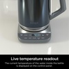 Ninja KT200BL Precision Temperature Electric Kettle, 7-Cup, Blue Stainless | 1500 watts, BPA Free, Hold Temp Setting