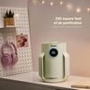 Shark NeverChange Compact Pro Air Purifier, HP071BRN, Winter Fog | For Bedroom, Nursery, Home Office, Dorm, HEPA-Exceeding Filter, Captures Pollutants, Pet Dander, Dust, Odor, Smoke, and More(Honeydew (250 sq. ft))