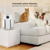 Shark NeverChange Compact Pro Air Purifier, HP071BRN, Winter Fog | For Bedroom, Nursery, Home Office, Dorm, HEPA-Exceeding Filter, Captures Pollutants, Pet Dander, Dust, Odor, Smoke, and More(White (650 sq. ft))