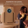 Shark NeverChange Compact Pro Air Purifier, HP071BRN, Winter Fog | For Bedroom, Nursery, Home Office, Dorm, HEPA-Exceeding Filter, Captures Pollutants, Pet Dander, Dust, Odor, Smoke, and More(Dove (250 sq. ft))