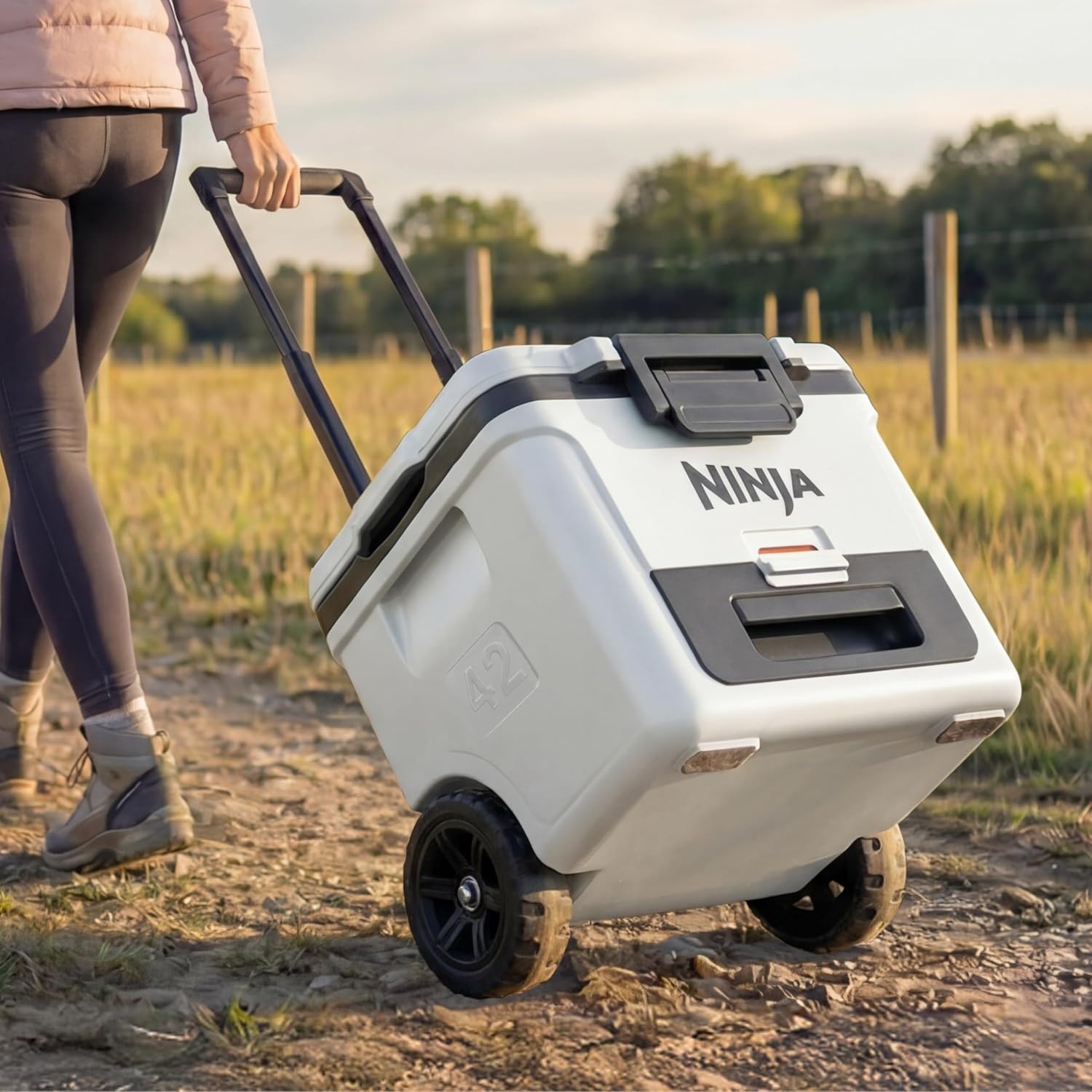 image:imageNinja FrostVault 30qt Cooler with Wheels Dry Storage Lakeshore Blue Ninja FrostVaults 30qt capacity holds 48 cans keeps food cool amp dry and rolls easily on allterrain wheelsMourning Dove