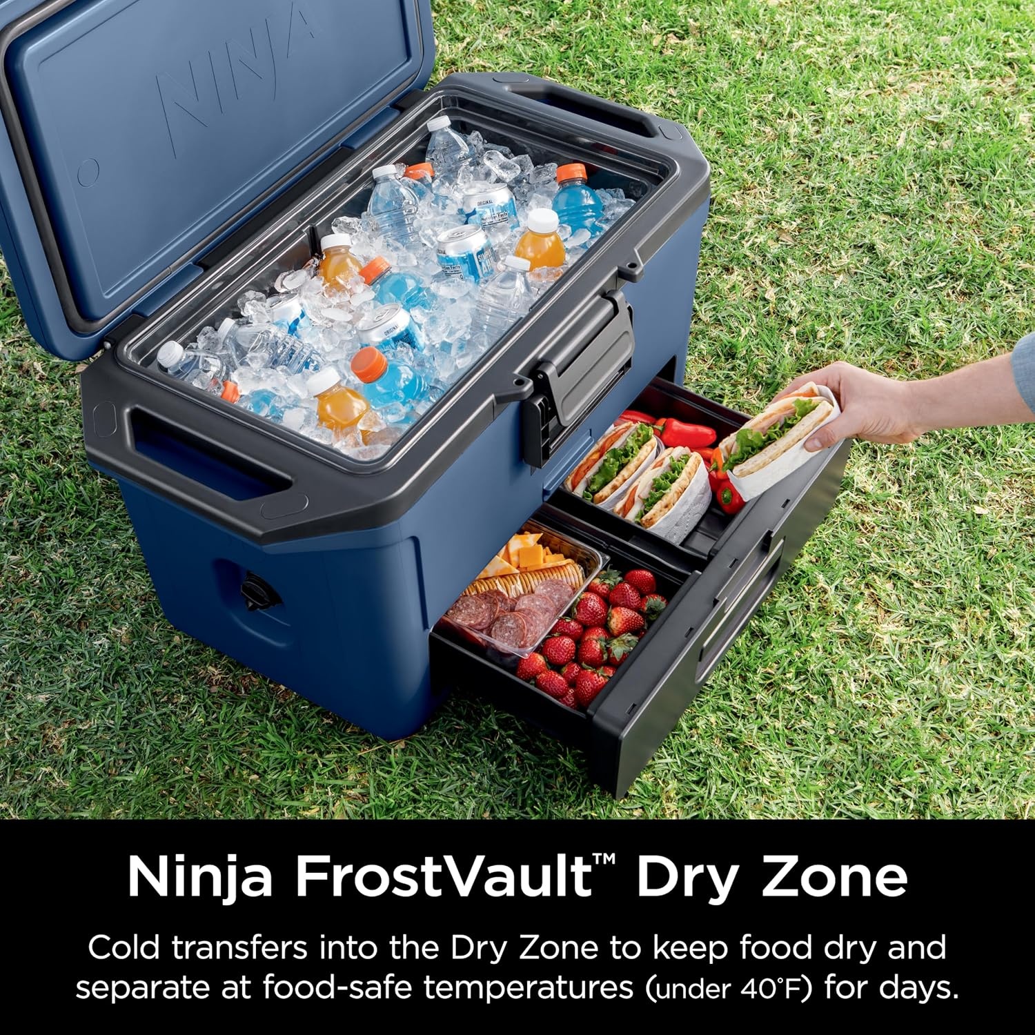 image:imageNinja FrostVault 50qt Hard Cooler with Dry Storage Drawer Spanish Moss Ninja FrostVault keeps food cool dry amp separate under 40F for days with 50qt capacity holding up to 80 cansLakeshore Blue