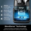 Ninja Kitchen System, BlendSense Tech, 72 oz, 1800PW, Black, TB401 | BlendSense Tech for smoothies, cookie dough, salsa & more. 8-cup processor bowl, 24-oz cup, 1800 peak watts.(Ninja BlendSense Pro DUO)