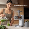 Ninja NeverClog Cold Press Juicer, 24oz Jug, 36oz Pulp, Silver, JC151SL | 150W high-torque auger juices fibrous fruits & veggies. Total Pulp Control, 2 one-touch programs. Dishwasher safe.(Gray)