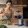 Ninja NeverClog Cold Press Juicer, 24oz Jug, 36oz Pulp, Silver, JC151SL | 150W high-torque auger juices fibrous fruits & veggies. Total Pulp Control, 2 one-touch programs. Dishwasher safe.(Blueberry)