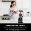 Ninja BN701 Professional Plus Blender with Auto-iQ, and 64 oz. max liquid capacity Total Crushing Pitcher, in Grey (Renewed)(Grey)