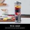 Ninja Blast Portable Blender & Accessories, 18oz, Grey, CL155AGY(Blender + 2 Vessels – Grey)