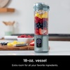 Ninja Blast Portable Blender & Accessories, 18oz, Grey, CL155AGY(Blender + 2 Vessels – Sage)