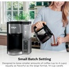 Ninja Fresh Brew Coffee Maker, 14 Cup Glass Carafe, Stainless Steel, CE451(14 Cup)