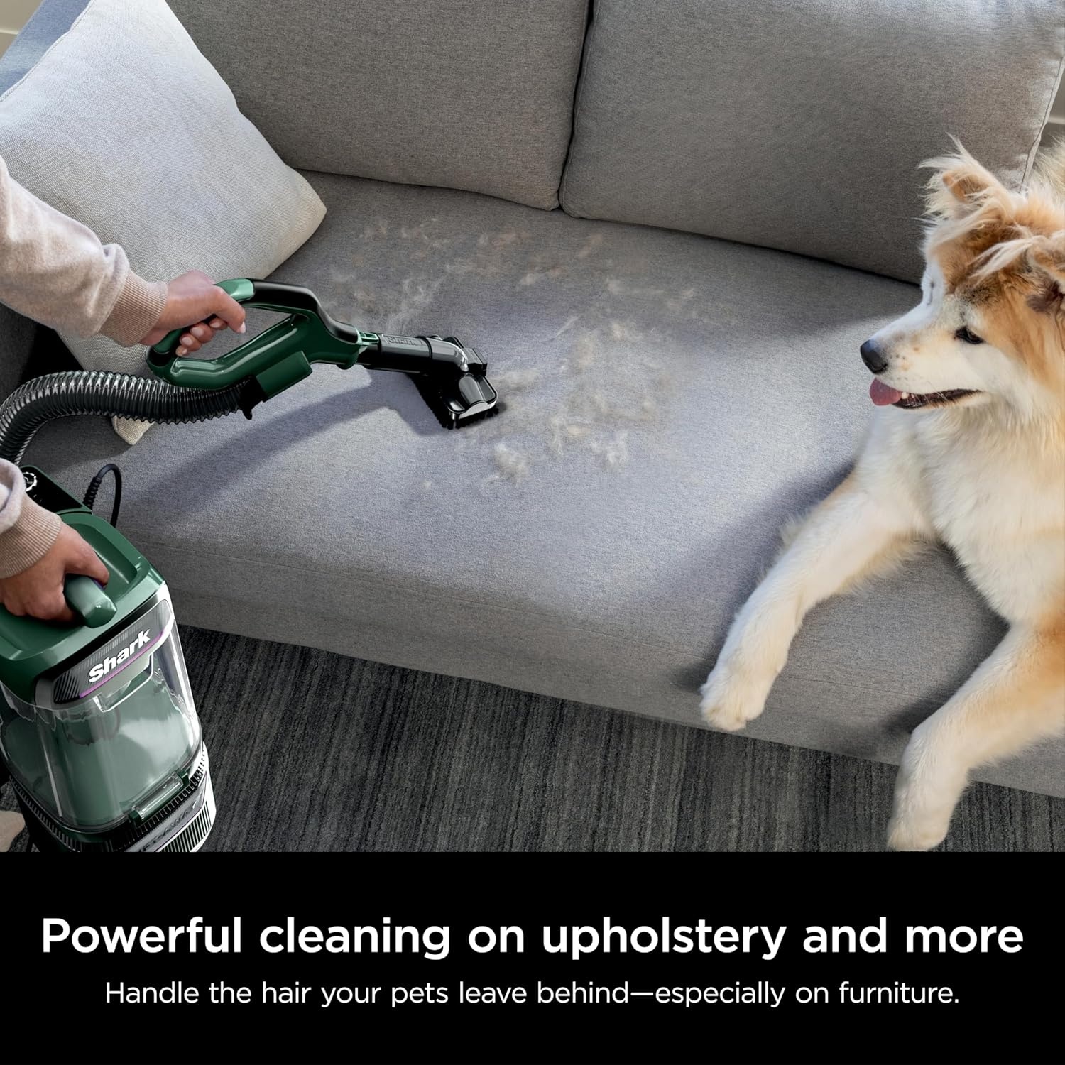 image:imageShark Detect Pro LiftAway ADV Vacuum DuoClean Detect Evergreen LA802Detect LiftAway Pro Evergreen