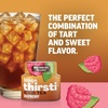 Ninja Thirsti Flavored Water Drops, Fruiti Chill+ Lemon Lime, Zero Calories(Raspberry Iced Tea)