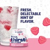Ninja Thirsti Flavored Water Drops, SELTZER Black Cherry, Crisp and Refreshing Sparkling Water, Zero Calories, Zero Sugar, Zero Sweeteners, Makes 20, 12oz drinks, 3 Pack, WCFCHYAM(Variety Pack)