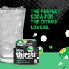 Ninja Thirsti Flavored Water Drops, Zero Soda Orange Soda, Zero Calories(6.21 Fl Oz (Pack of 1))