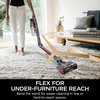 Shark Cordless Pet, Cordless Lightweight Stick Vacuum Cleaner, IY143H(Raspberry)
