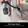 Shark Detect Pro Lift-Away ADV Vacuum, DuoClean Detect, Evergreen, LA802(Rotator Pet Pro Lift-Away w/ DuoClean)