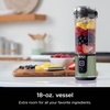 Ninja Blast Portable Blender, Cordless, 18oz Vessel, Black, BC151BK(Metallic Green)
