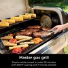Ninja FlexFlame, Master Grill Pack, Electric & Propane 5-in-1 Cooking System Includes FlexFlame Premium, Grill Grate, Half Griddle, Expandable Roast & Smoke Rack