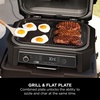 Ninja Woodfire XL Flat Plate, Non-Stick Flat Top BBQ Griddle Plate(WoodFire BBQ Grill XL)