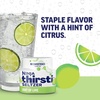 Ninja Thirsti Flavored Water Drops, SELTZER Lime, Crisp and Refreshing Sparkling Water, Zero Calories, Zero Sugar, Zero Sweeteners, Makes 20, 12oz drinks, 3 Pack, WCFLIMAM